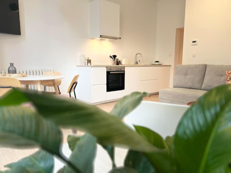 L'Escapade Chic - Cathedrale, Saint Lambert Apartment Liege Luaran gambar